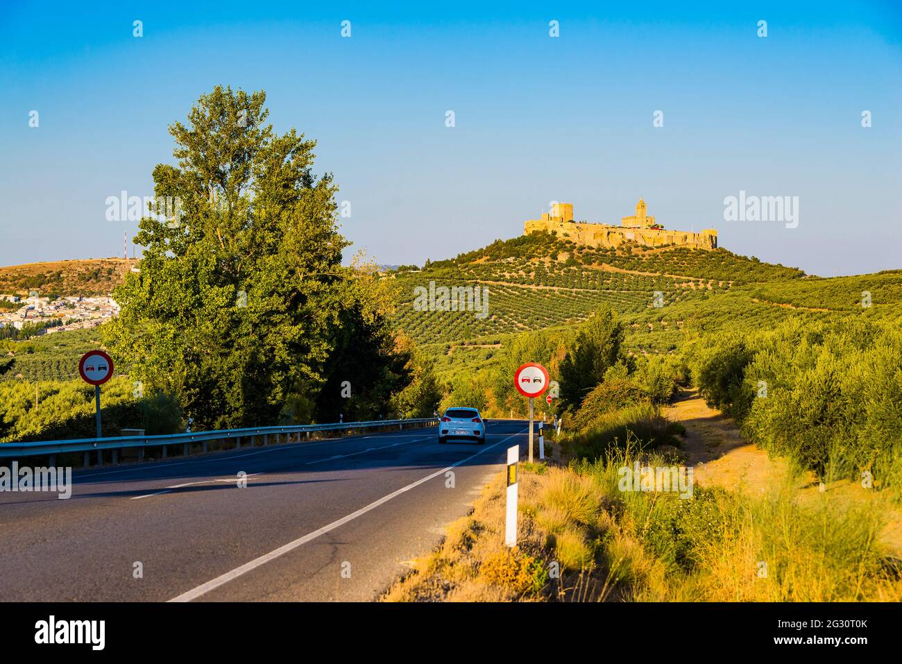 Fortezza la Mota a Alcalá la Real, circondata da uliveti. Alcalá la Real, Jaén, Andalucía, Spagna, Europa Foto Stock