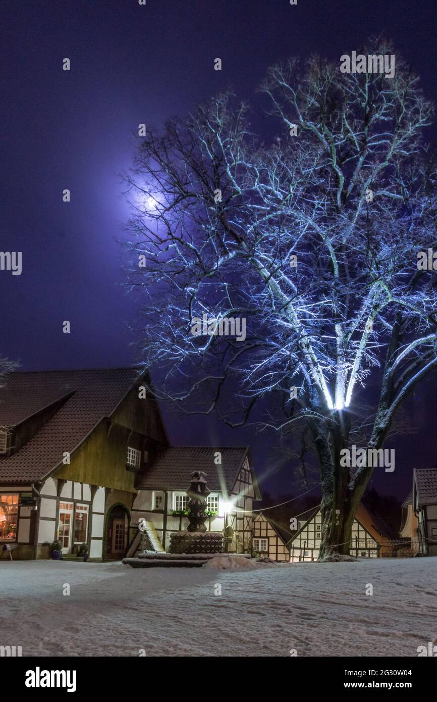 Romantico paesaggio notturno nella città vecchia tedesca con case a graticcio e alberi innevati al chiaro di luna, Teclemburgo, Germania Foto Stock