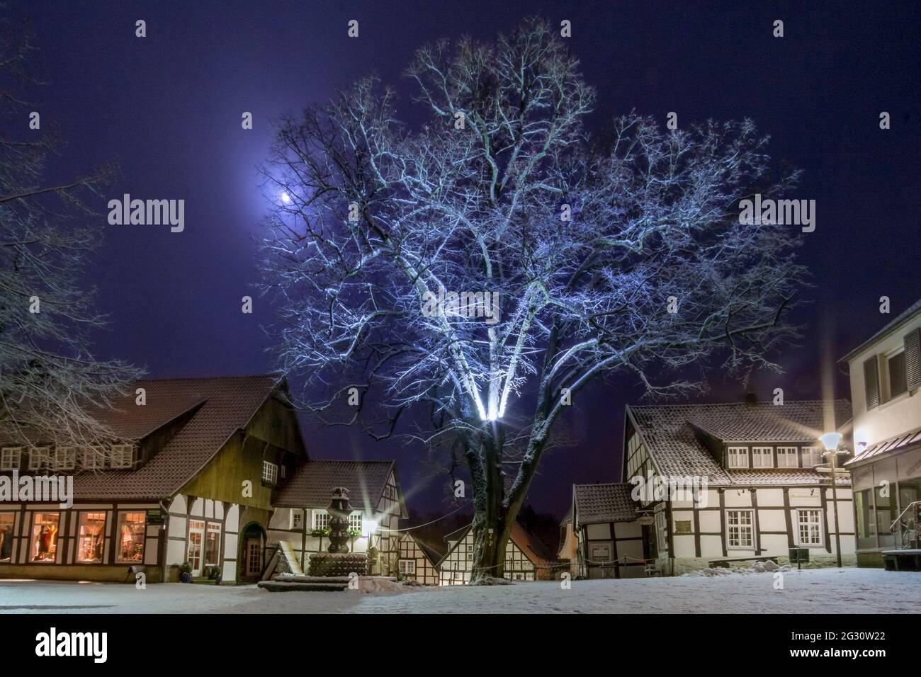 Romantico paesaggio notturno nella città vecchia tedesca con case a graticcio e alberi innevati al chiaro di luna, Teclemburgo, Germania Foto Stock