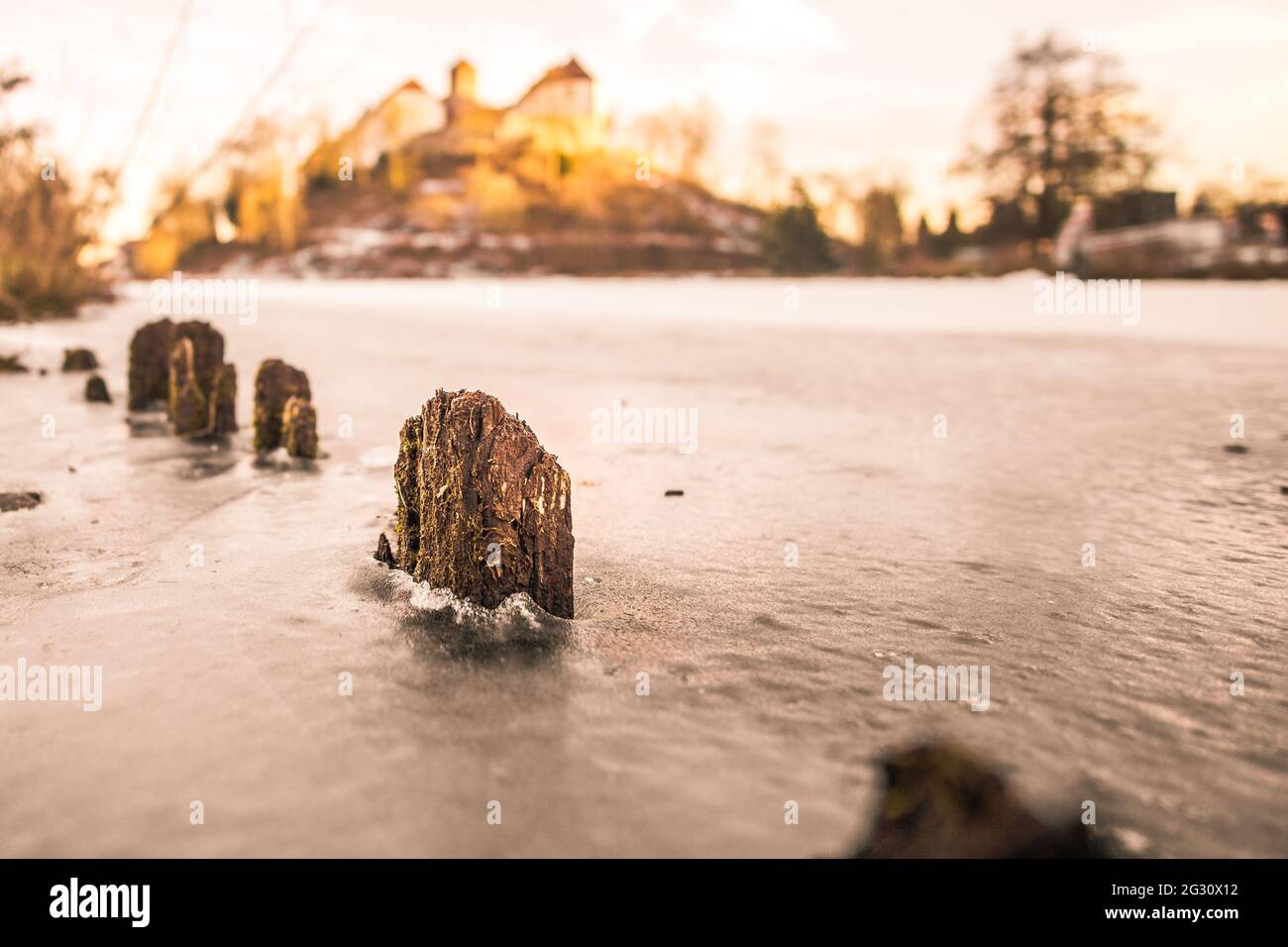 Vecchi pali di legno marcio sul lago congelato in luce dorata, Bad Iburg, Germania Foto Stock