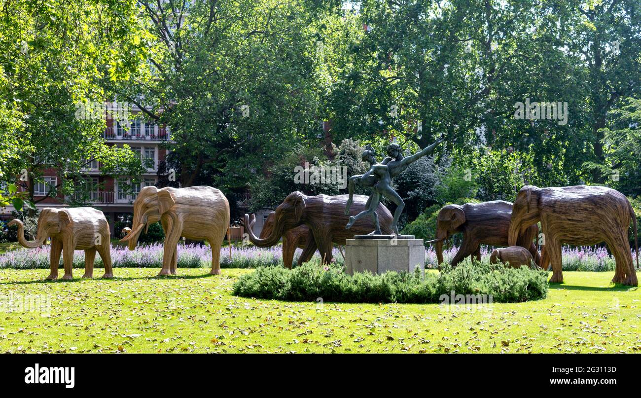 LONDRA INGHILTERRA ELEFANTI FATTO DA LANTANA CAMARA O SELVATICO SALVIA PIANTA GREGGE VISTO IN CADOGAN GIARDINI CON SCULTURA SLOANE STREET Foto Stock