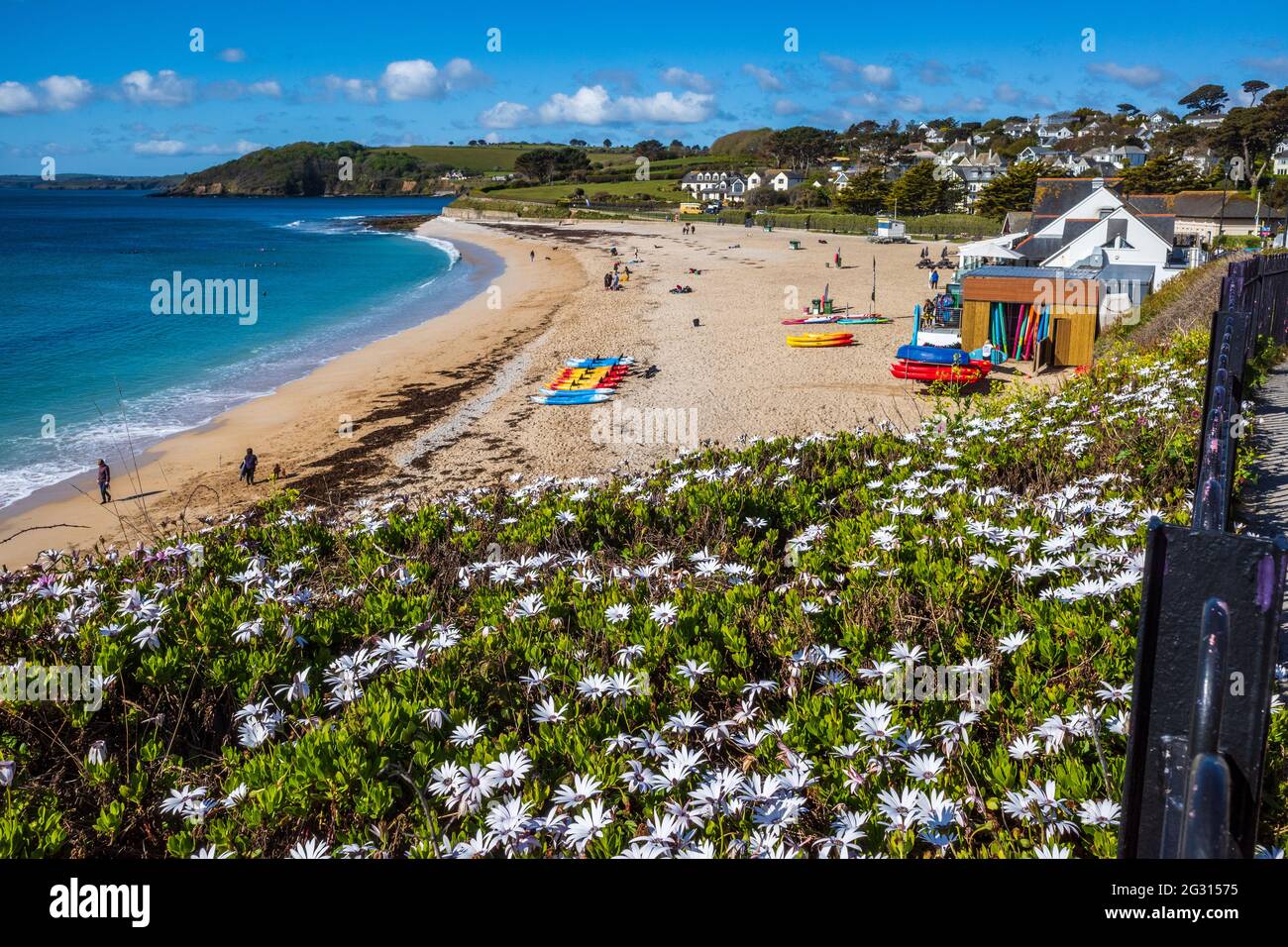 Gyllyngvase Beach Falmouth Cornwall UK in tarda primavera. Spiaggia Bandiera Blu. Foto Stock