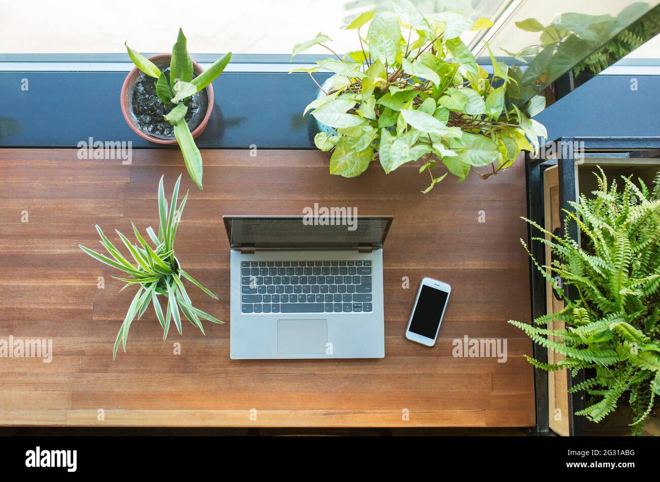 Vista dall'alto del luogo di lavoro con computer portatile, smartphone e molti impianti. Foto Stock