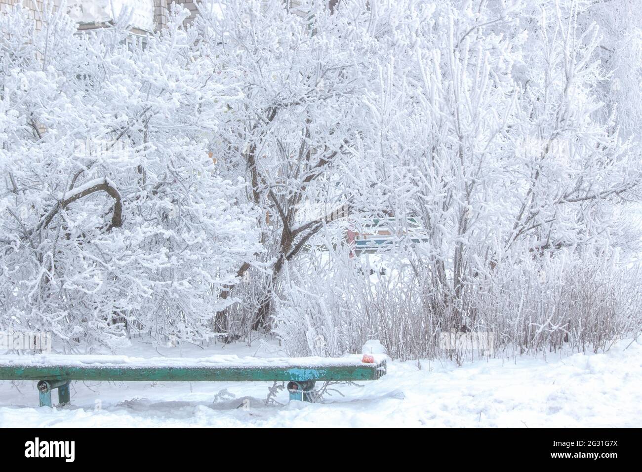 Trame invernali con gelo di zoccoli e alberi innevati Foto Stock