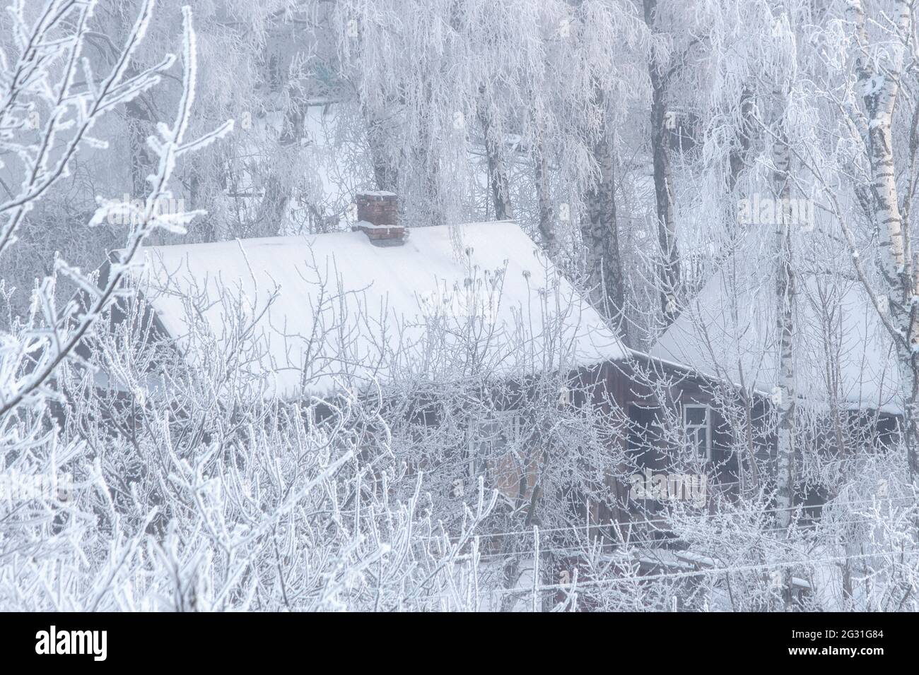 Trame invernali con gelo di zoccoli e alberi innevati Foto Stock