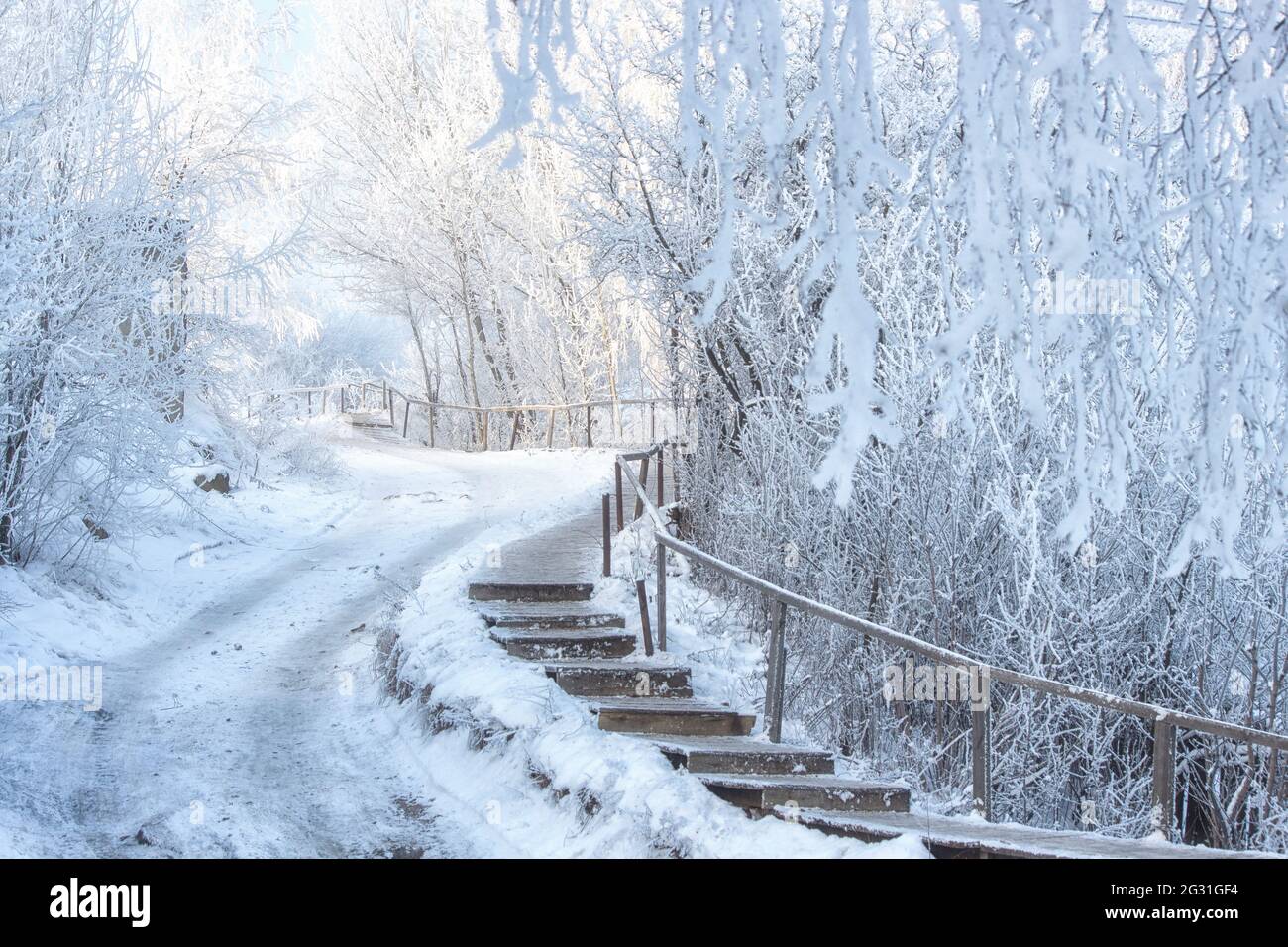 Trame invernali con gelo di zoccoli e alberi innevati Foto Stock
