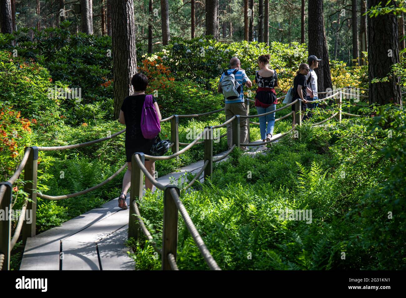 Persone su passerella in legno o su un percorso a bordo nel Parco Haaga Rhododendron a Helsinki, Finlandia Foto Stock