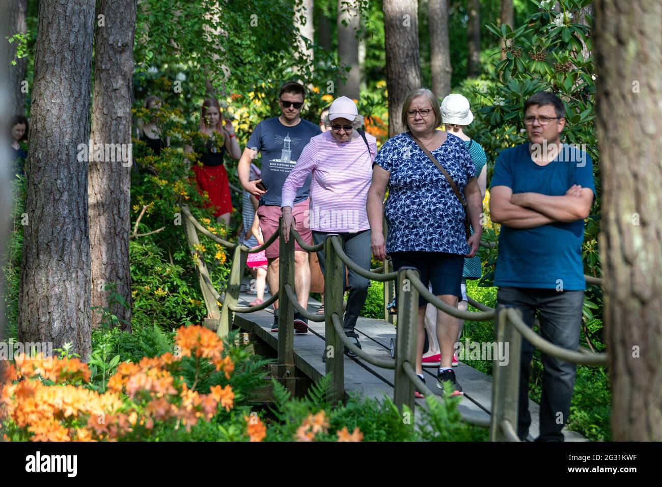 Persone su passerella in legno che ammirano varie varietà di fiori di rododendro in Haaga Rhododendron Parki, Helsinki, Finlandia Foto Stock