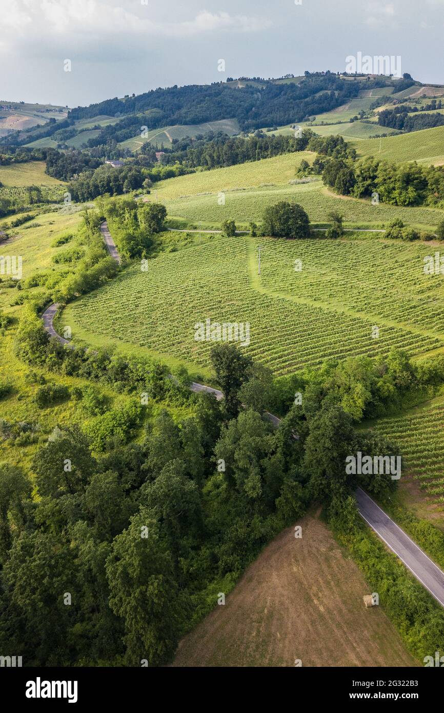Vista aerea della campagna con vigneti colline e boschi in Oltrepo Pavese con curve stradali Foto Stock