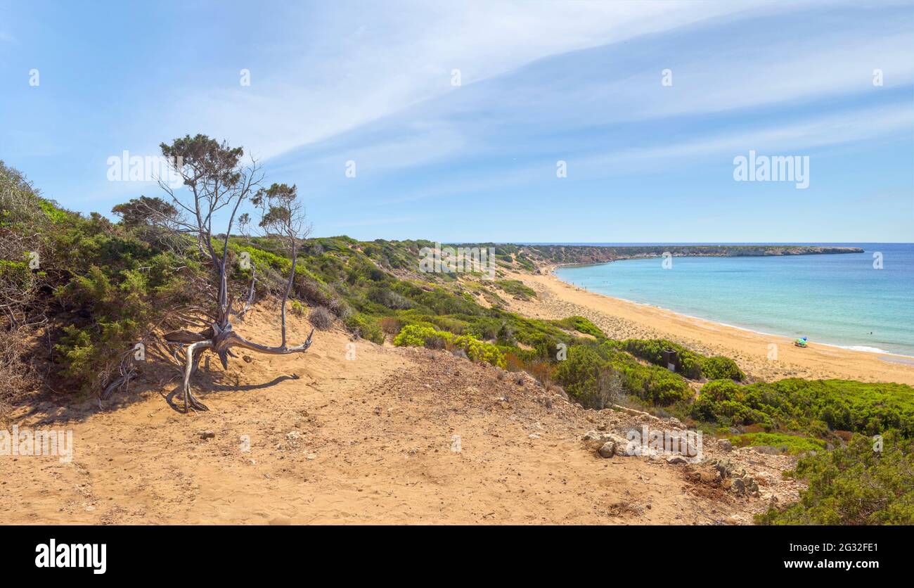 Paesaggio panoramico con alberi secchi e vista sulla spiaggia di Lara. Penisola di Akamas, Cipro Foto Stock