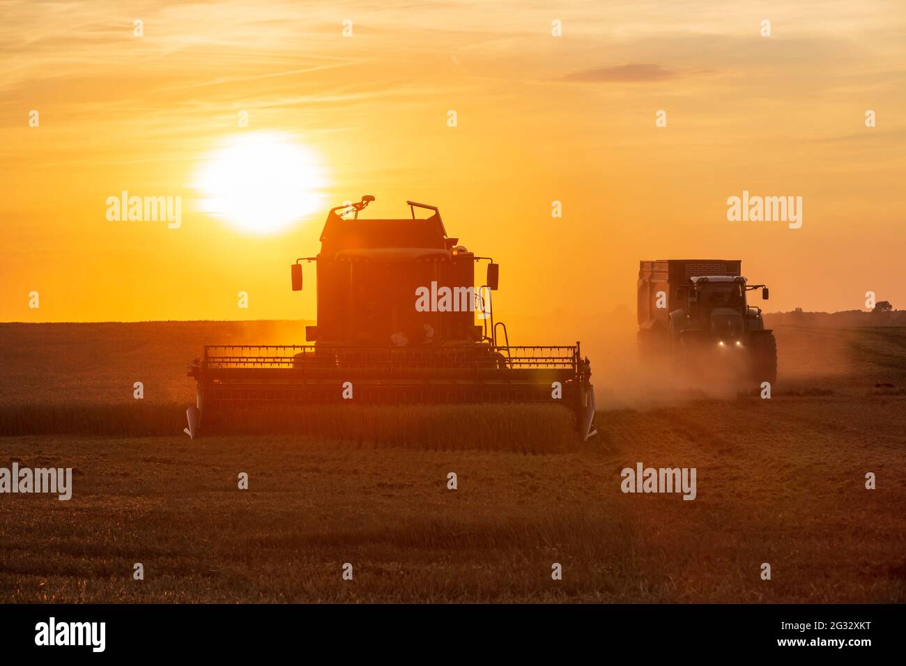 Combine Harvester al tramonto sull'isola di Ruegen (Rügen) Foto Stock