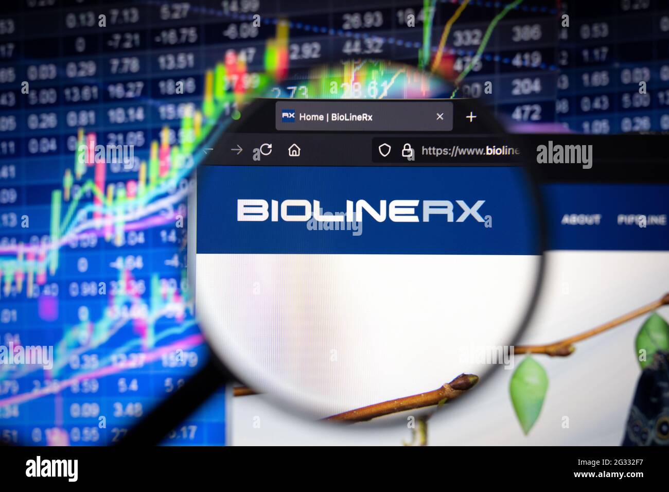 Il logo della società BioLineRx su un sito web con sviluppi sfocati del mercato azionario in background, visto su uno schermo del computer attraverso una lente di ingrandimento Foto Stock