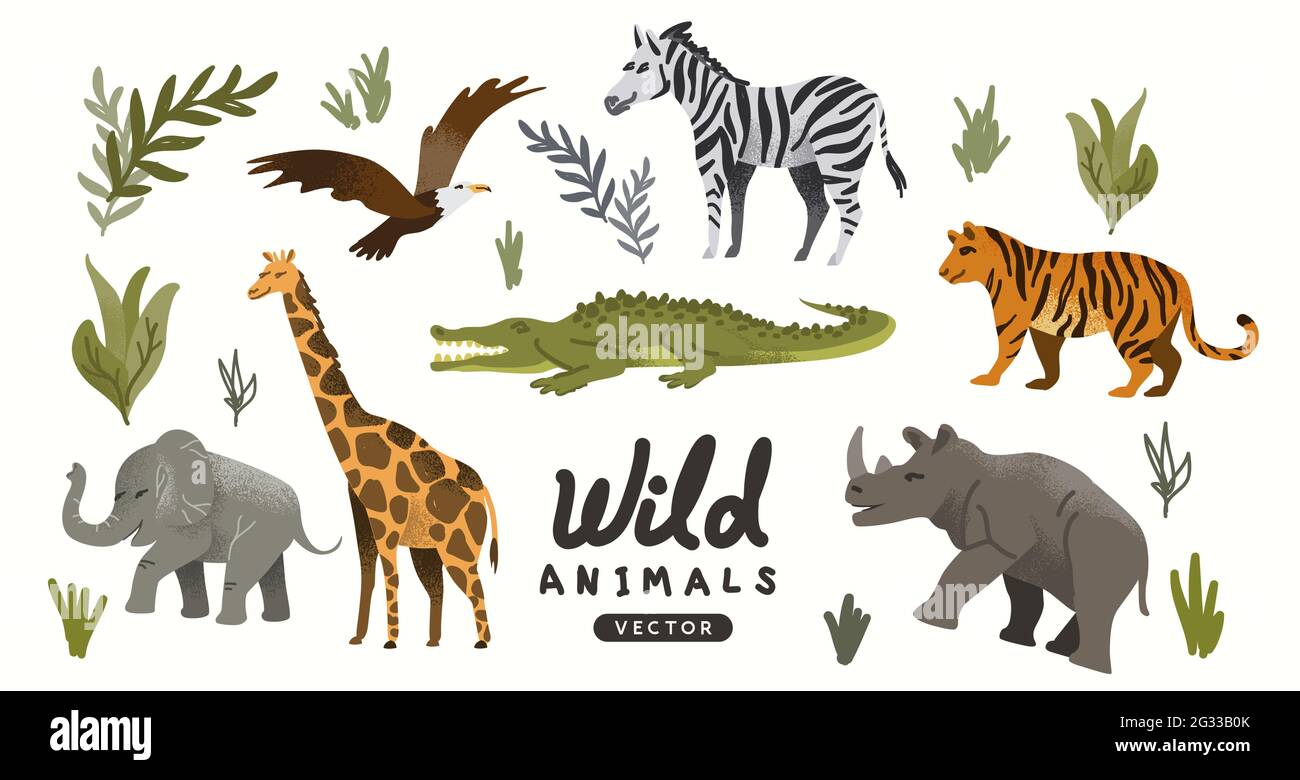 Una collezione di animali selvatici in roaming tra cui elefanti e tigri. Animal Adventure Vector illustrazione Illustrazione Vettoriale