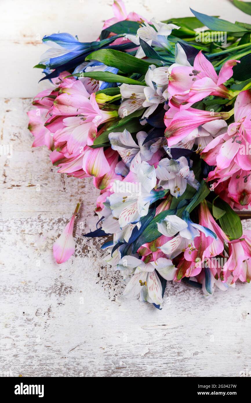 Vista dall'alto di un bel bouquet di fiori su sfondo bianco. Foto Stock