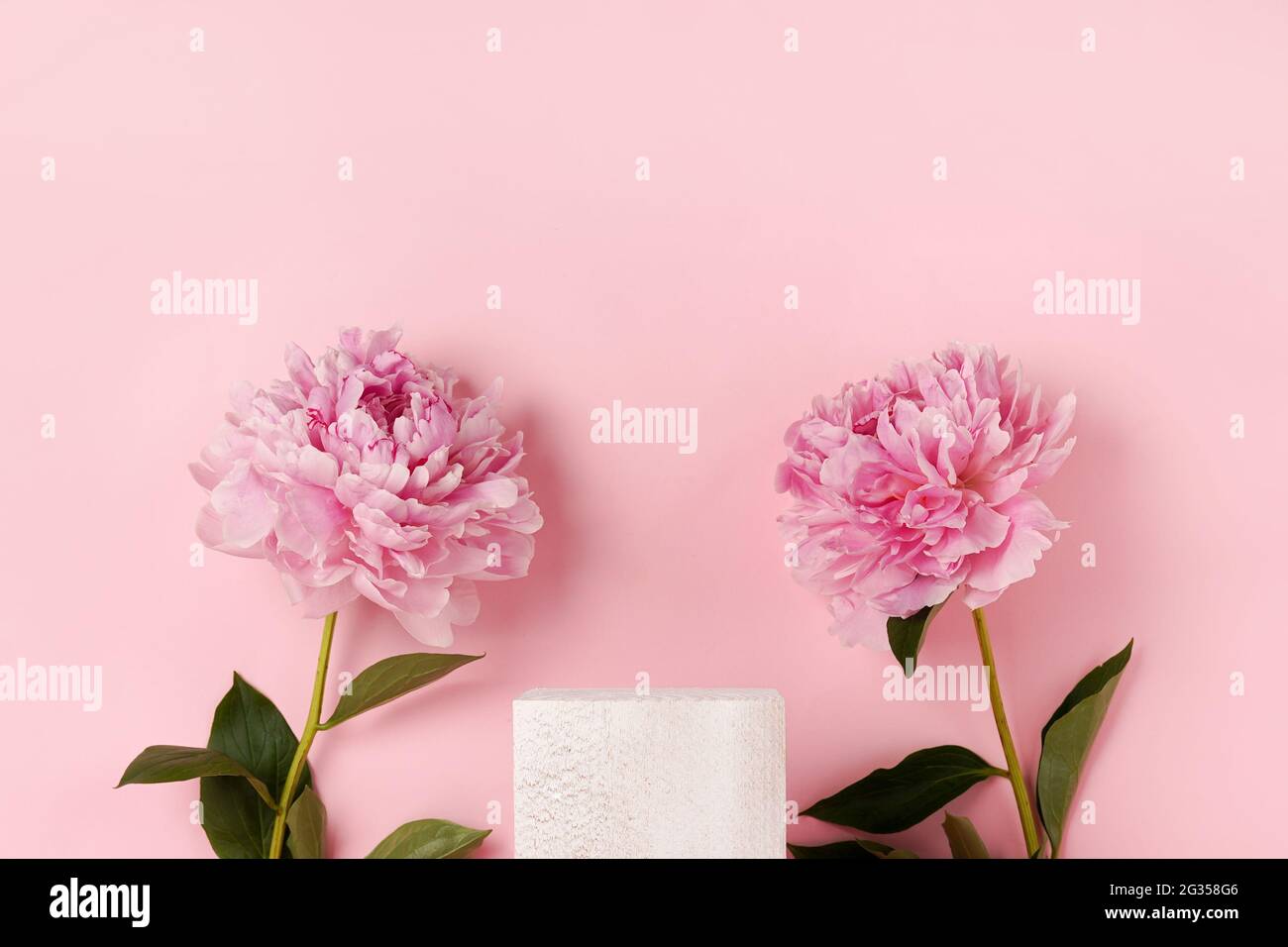 Stand pubblicitario per prodotti cosmetici. Mostra podio bianco con peonie floreali su sfondo rosa, piedistallo vuoto per l'esposizione di confezioni di prodotti. M Foto Stock