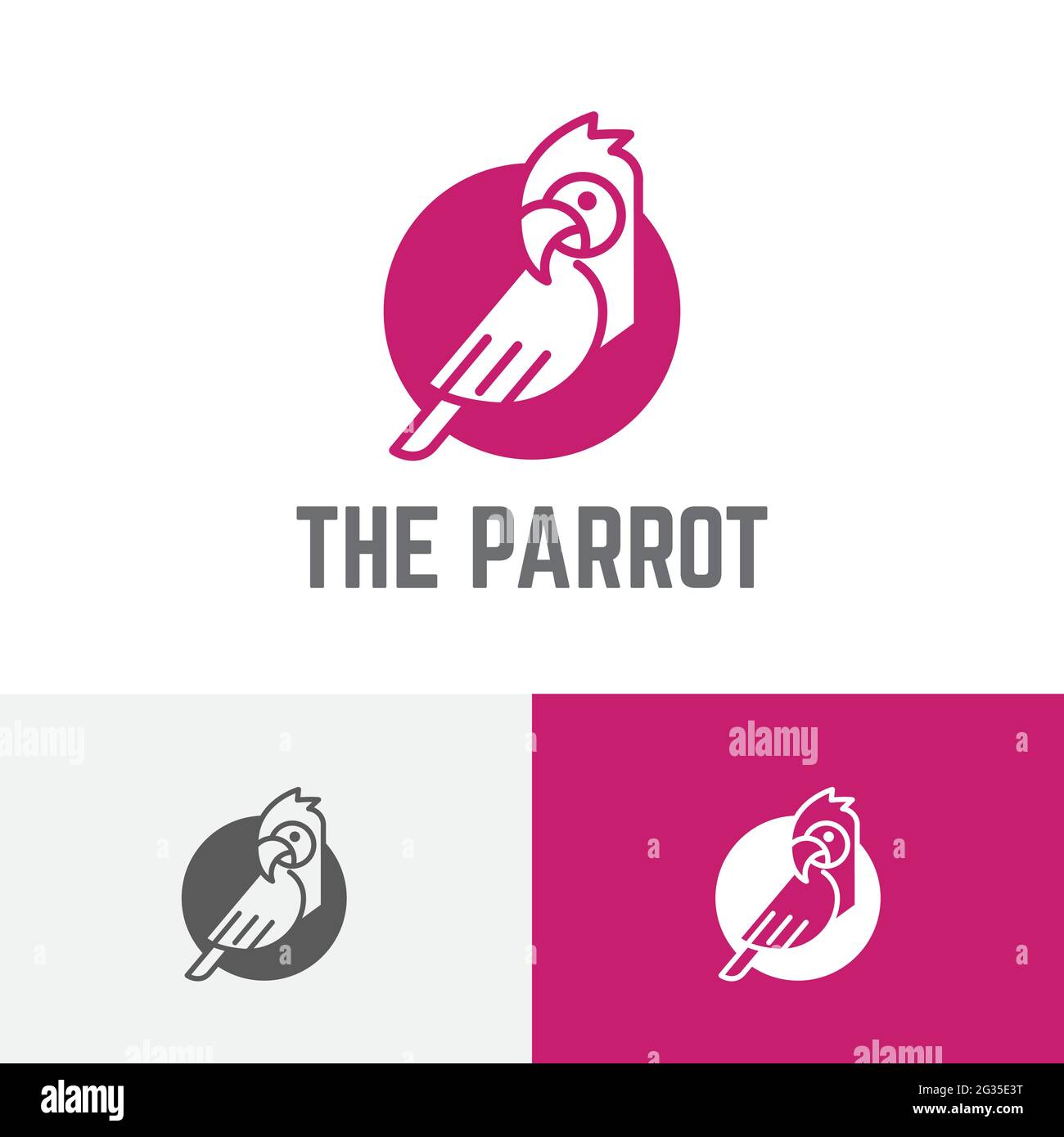Bellissimo logo esotico del Circolo degli uccelli di pappagallo Macaw Illustrazione Vettoriale