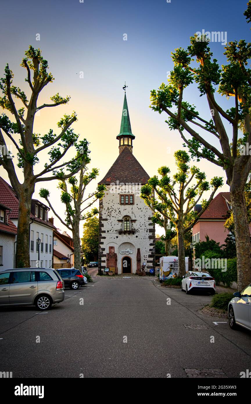 Breisach am Rhein Schwarzwald Germania Foresta Nera Kaiserstuhl Foto Stock