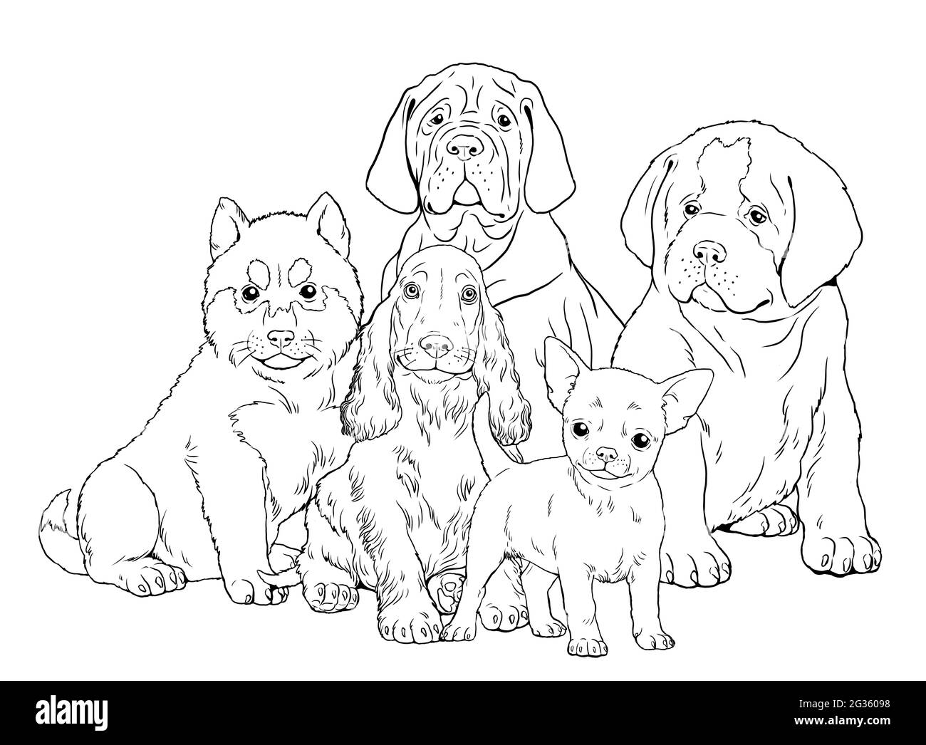 San Bernardo, Husky siberiano, Mastiff, Chihuahua, cucciolo di сocker spaniel. Simpatici cuccioli di cani. Modello di colorazione. Illustrazione digitale. Foto Stock