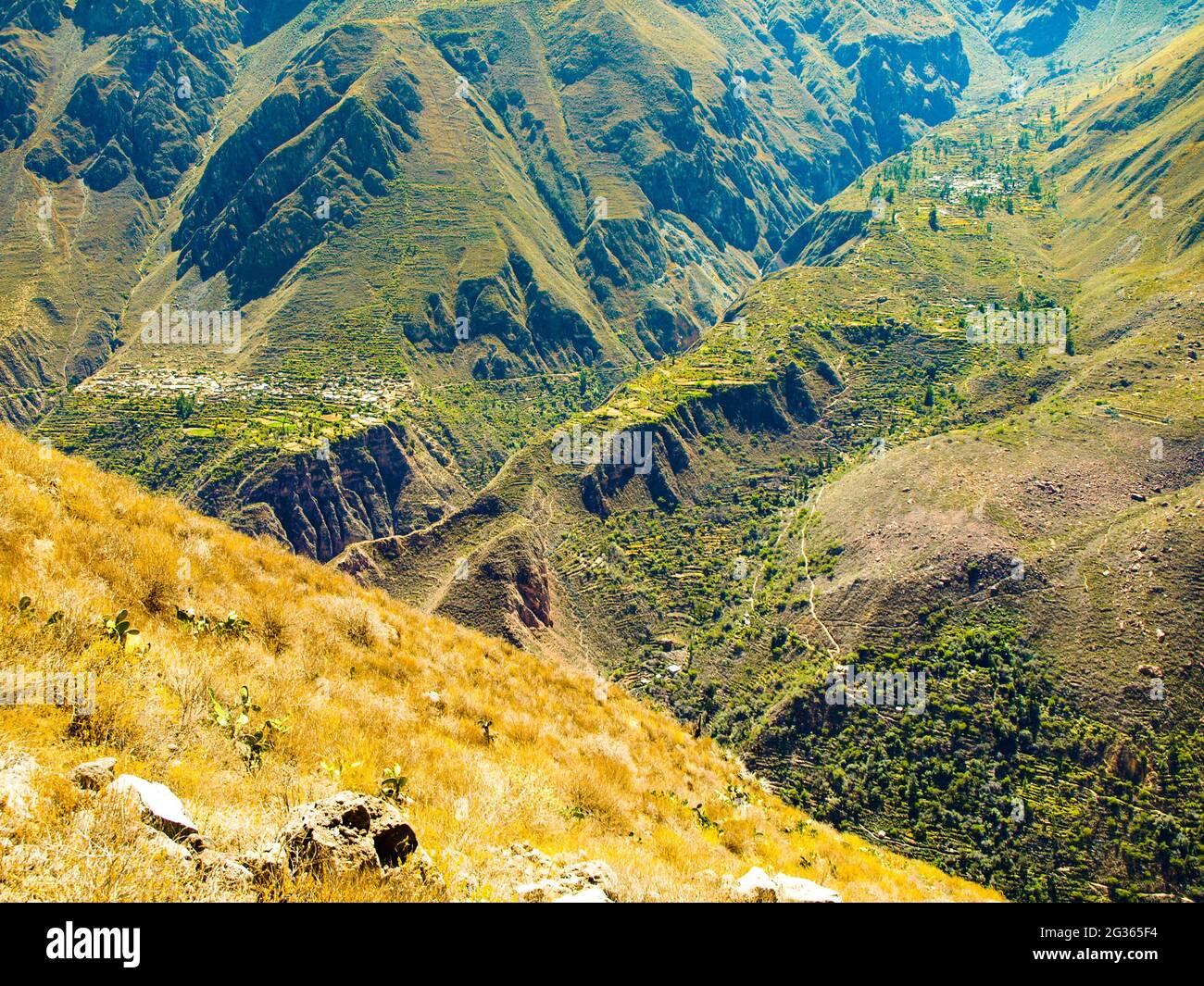 Canyon del Colca - il canyon più profondo del mondo Foto Stock
