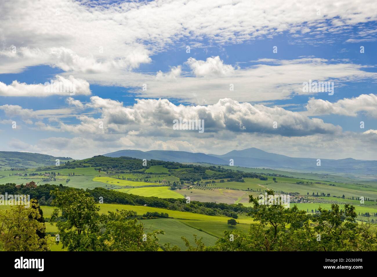 Vista sulla verdeggiante campagna della Val d'Orcia vicino a Pienza Italia Foto Stock