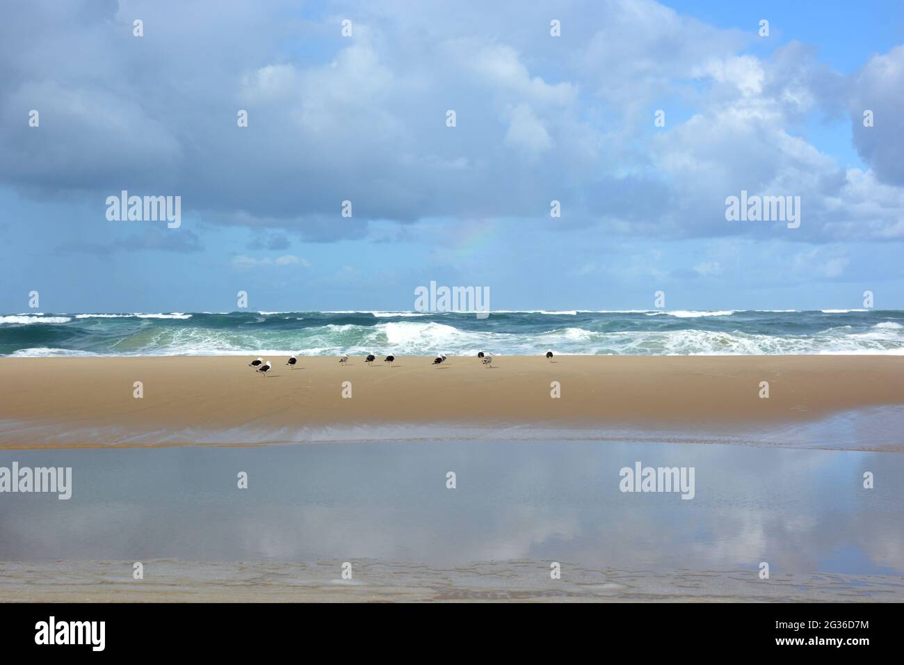 Francia, Aquitania, spiaggia atlantica, la marea in aumento coprirà gradualy la barra di sabbia per formare una corrente nella depressione in primo piano. Foto Stock