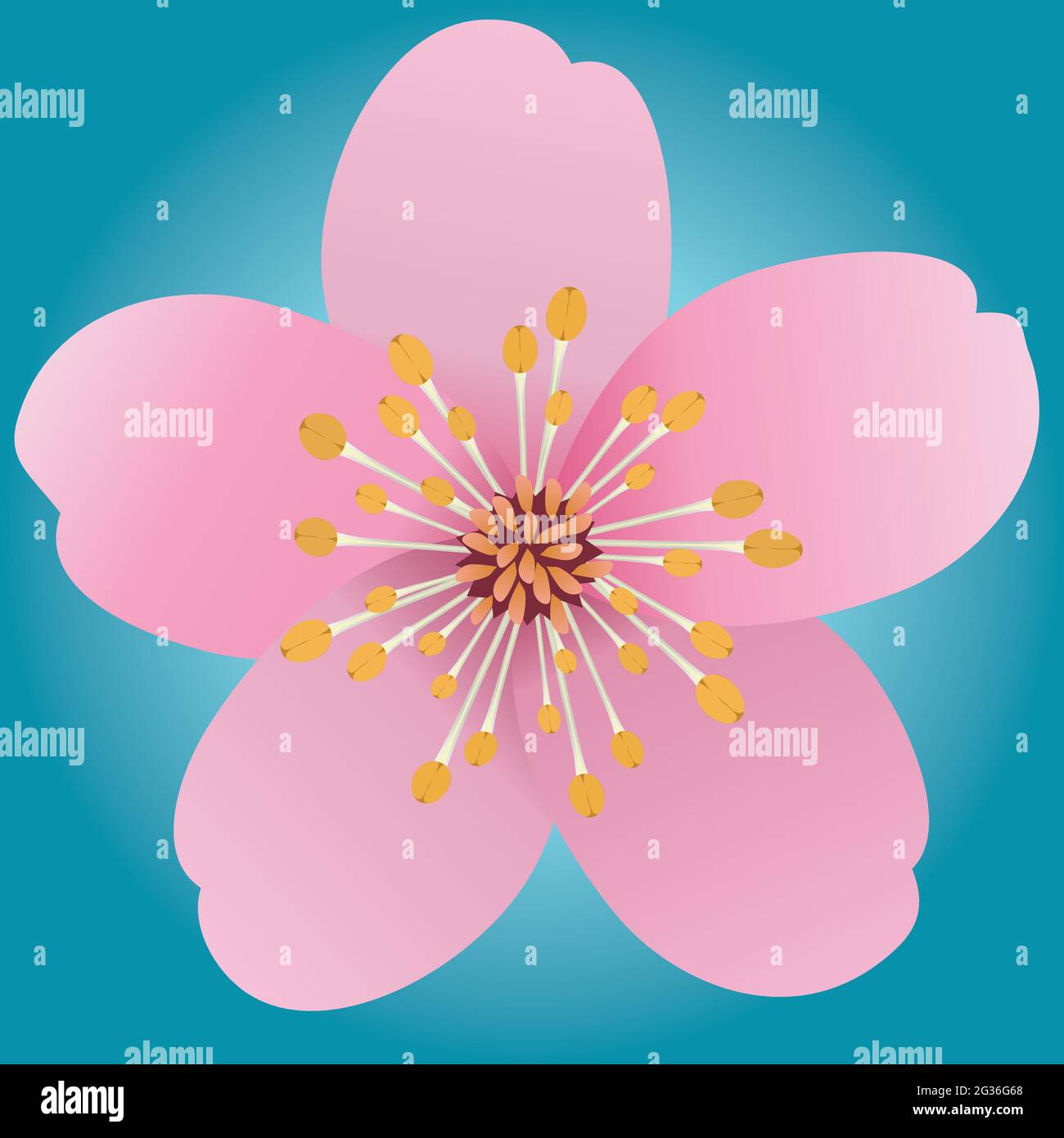 Un fiore rosa con cinque petali. Basato su un fiore di ciliegio o sakura. Lo sfondo è un gradiente turchese. Illustrazione Vettoriale