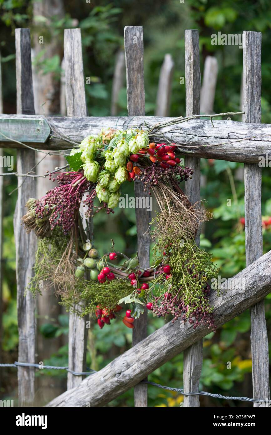 corona d'autunno realizzata con materiali naturali raccolti appesi ad una recinzione in legno Foto Stock