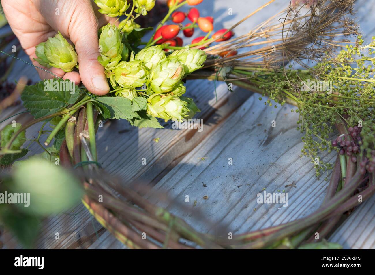la corona d'autunno è realizzata con materiali naturali raccolti Foto Stock