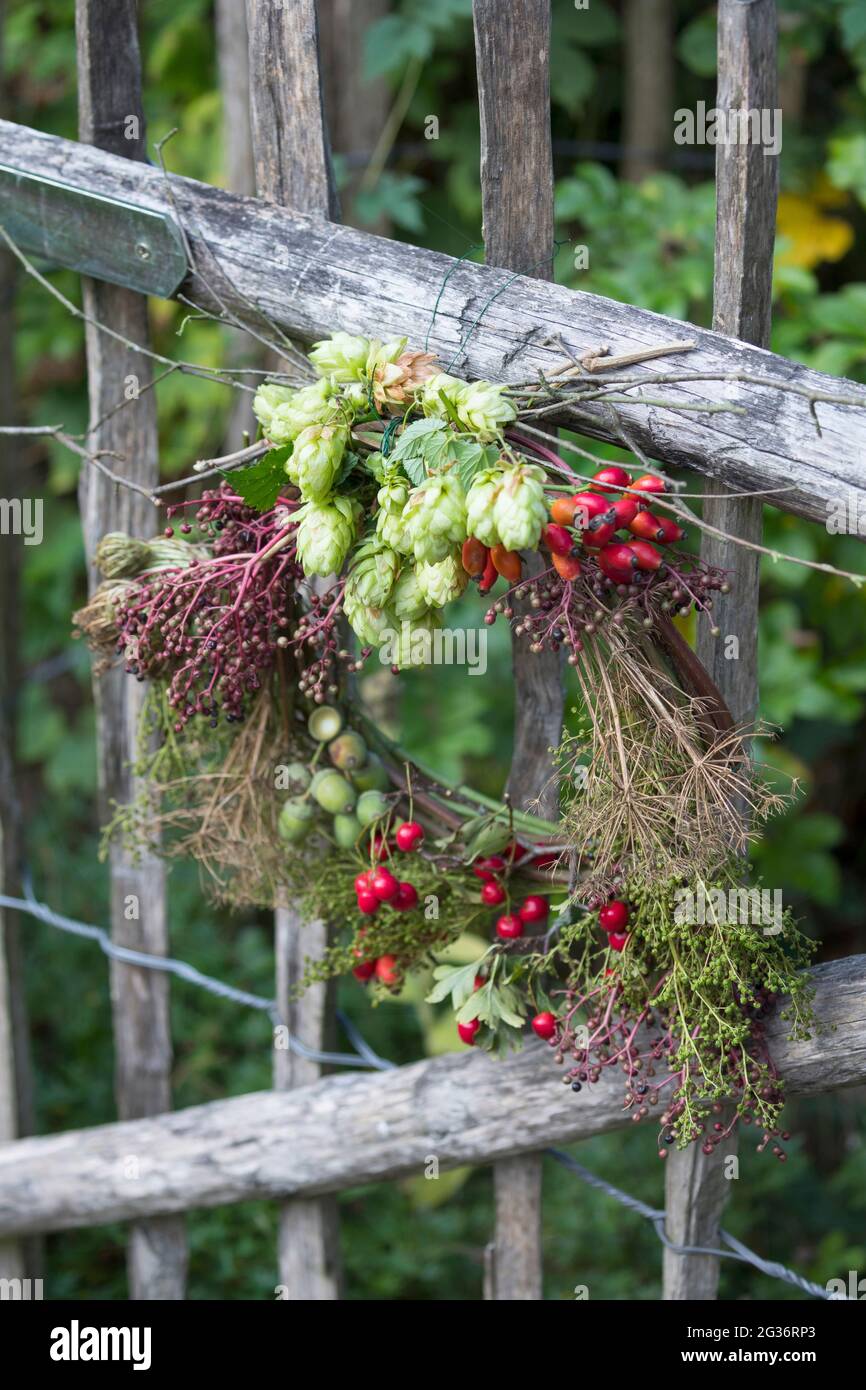 corona d'autunno realizzata con materiali naturali raccolti appesi ad una recinzione in legno Foto Stock