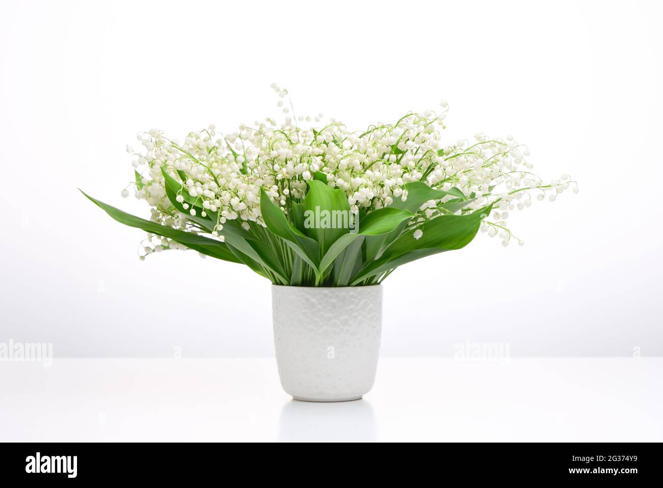 Un bouquet di fiori bianchi su uno sfondo chiaro. Gigli della valle in un vaso bianco. Foto Stock