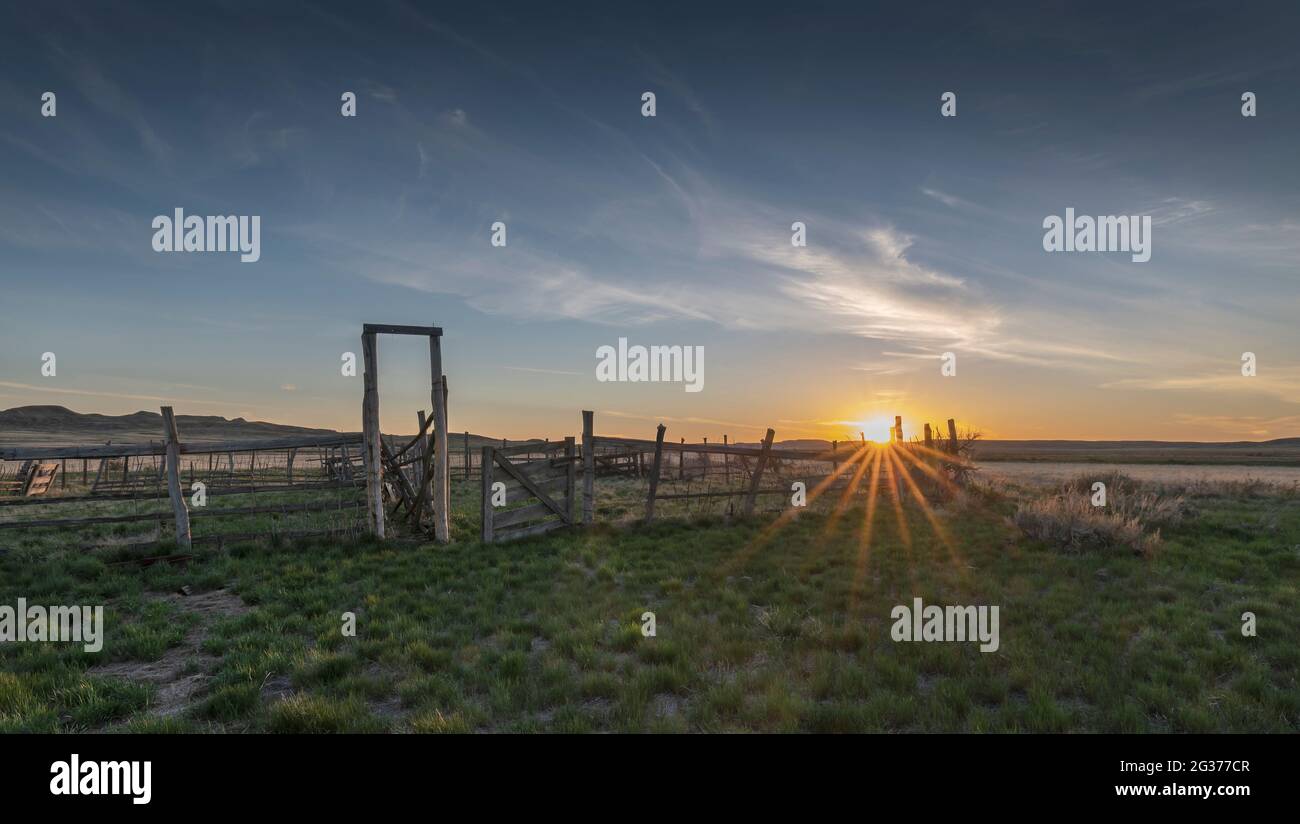 Prendendo il sole su un vecchio Corral nel parco nazionale delle praterie, Saskatchewan, Canada Foto Stock