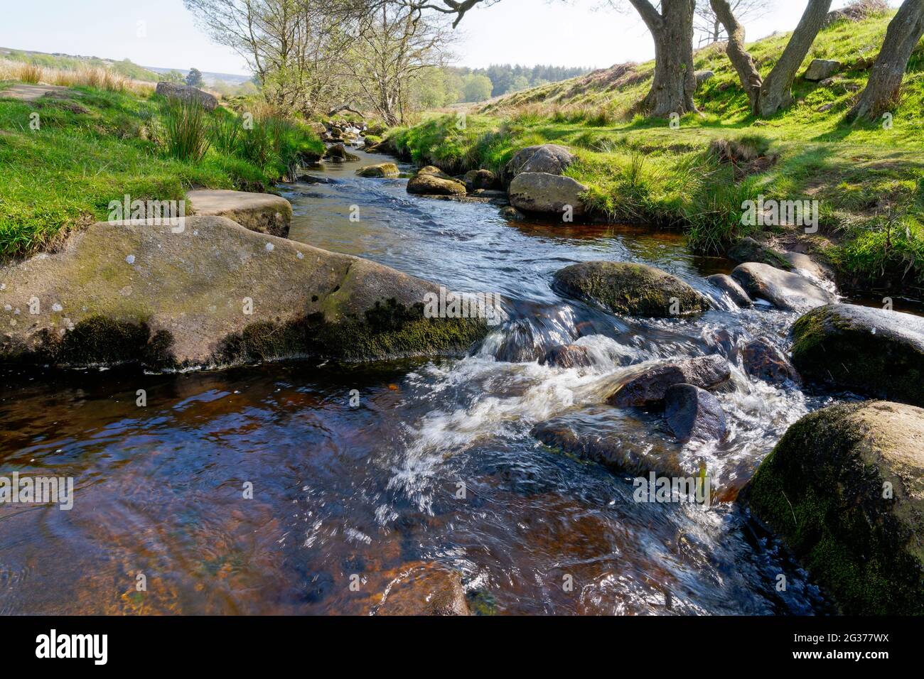 Burbage Brook scorre velocemente sulle rocce di pietra calcarea vicino a Padley Gorge.in Derbyshire Foto Stock