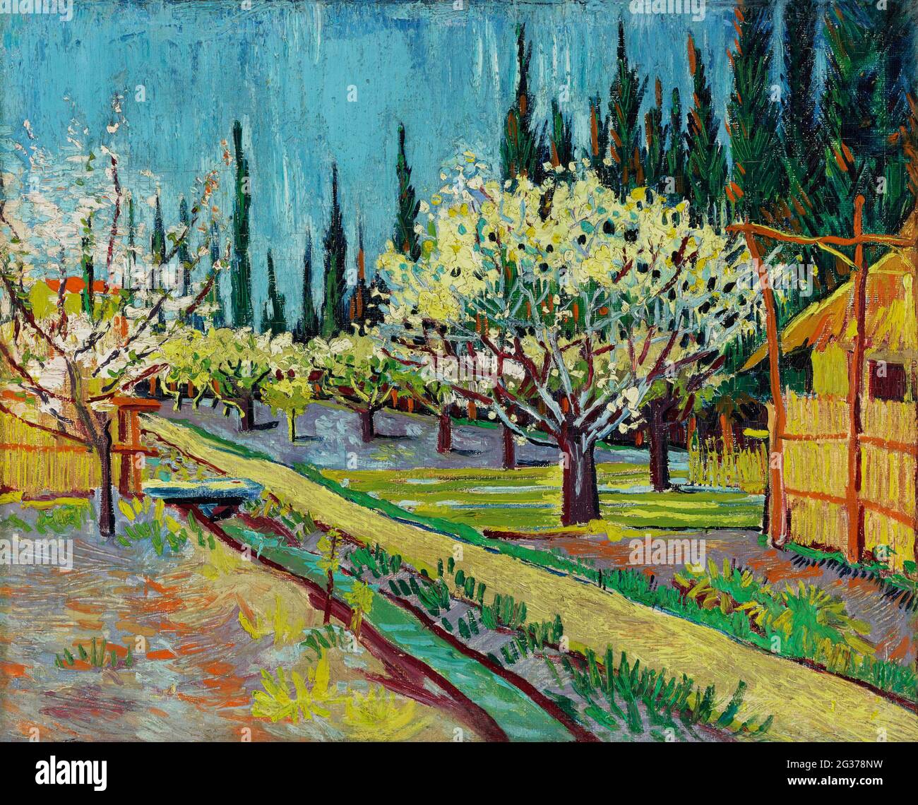 Orchard delimitato da Cypresses (1888) di Vincent Van Gogh. Foto Stock