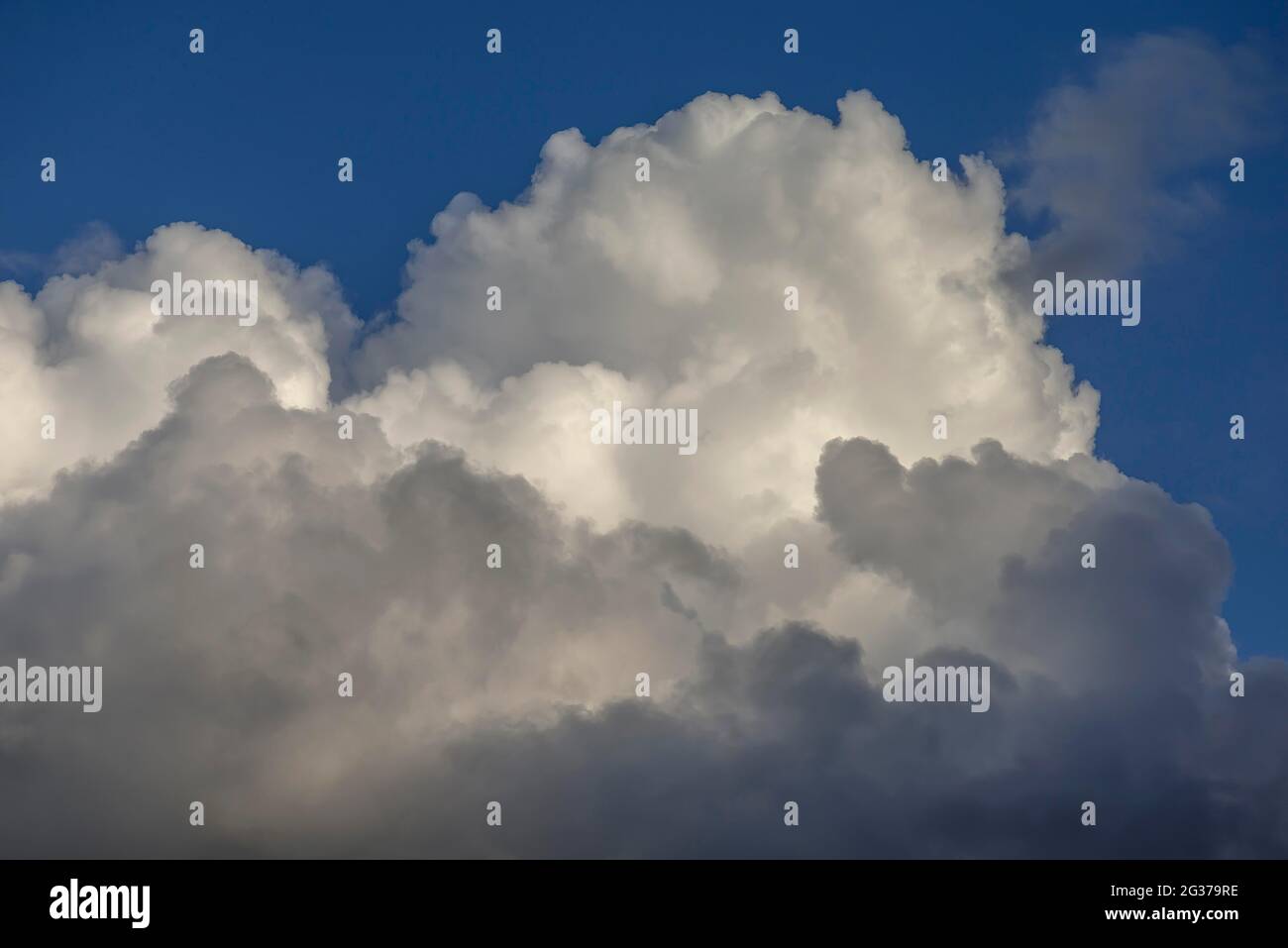 (Cumulus) nuvole y Foto Stock