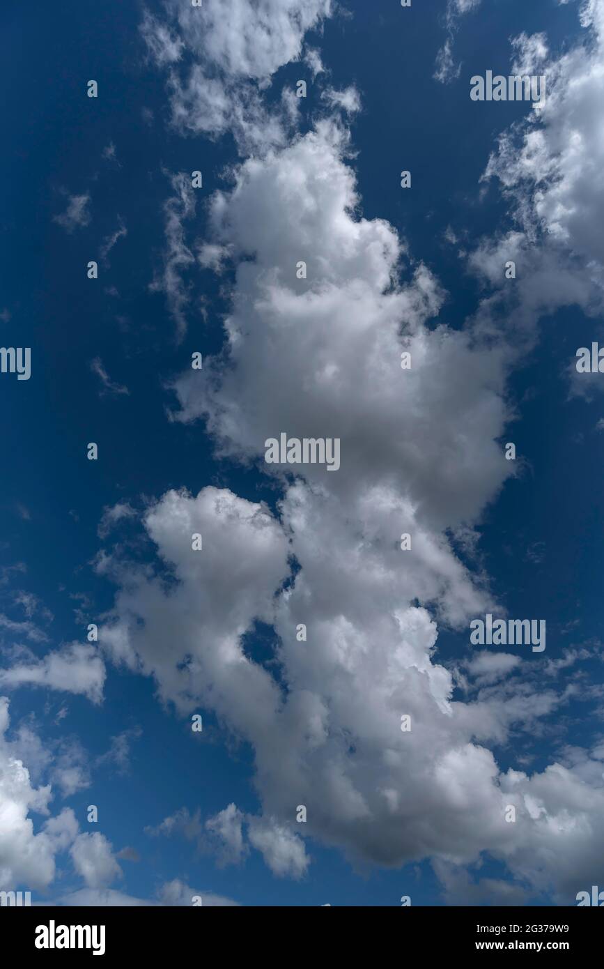 Cumulus cloudn (Cumulus), cielo blu, Germania Foto Stock
