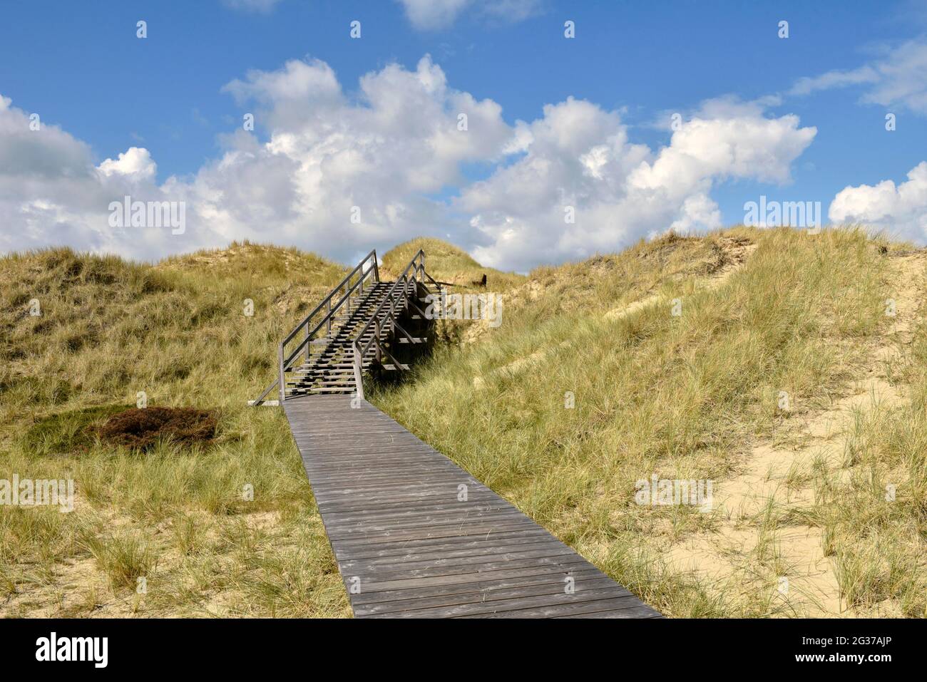 Passerelle nella zona delle dune, Norddorf, Amrum, Isola Frisone Nord, Frisia Nord, Schleswig-Holstein, Germania Foto Stock