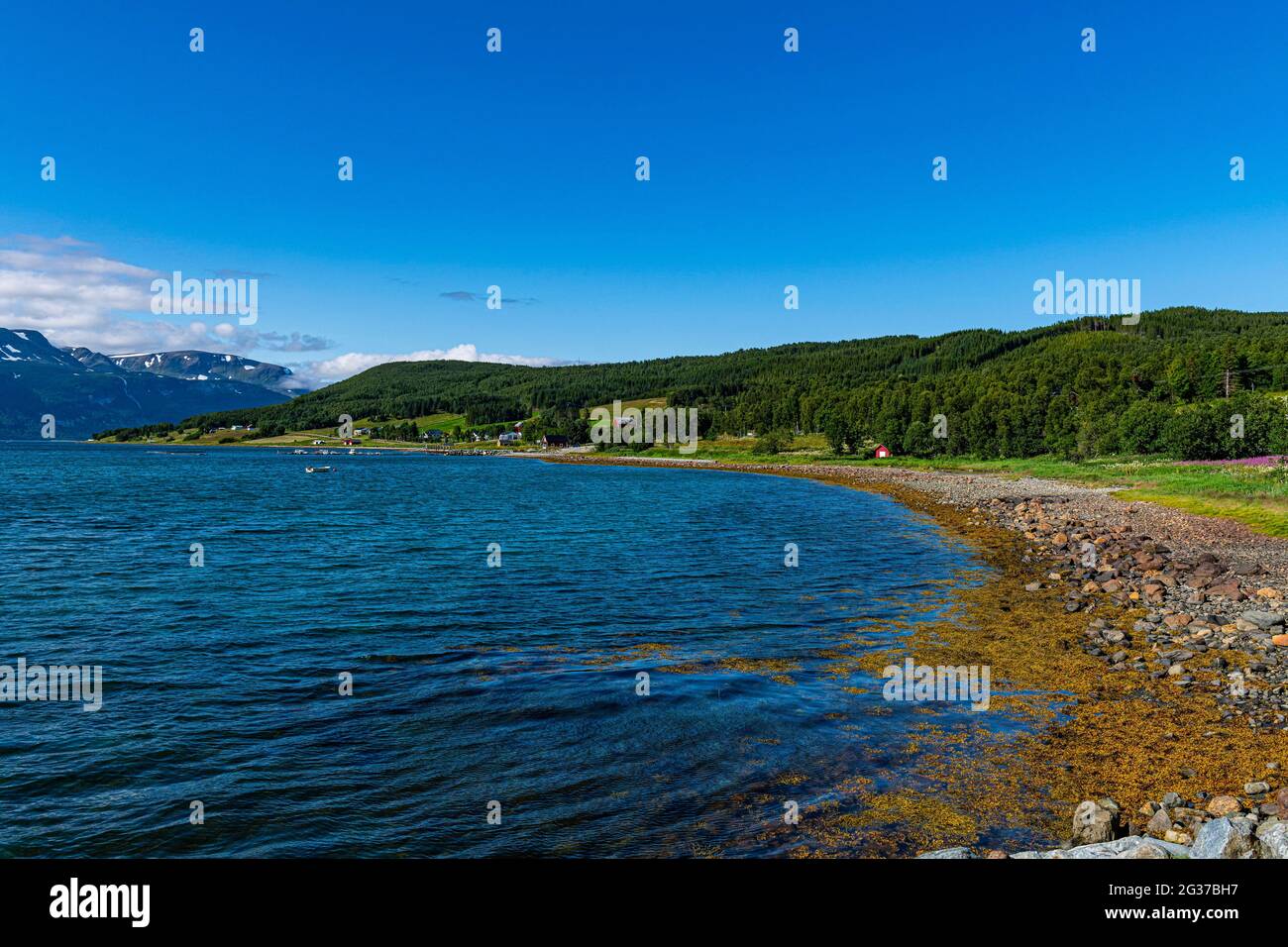 Spiaggia a Lyngen, Norvegia Foto Stock