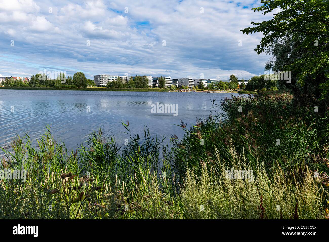 Parco pubblico di Helsinki, Finlandia Foto Stock