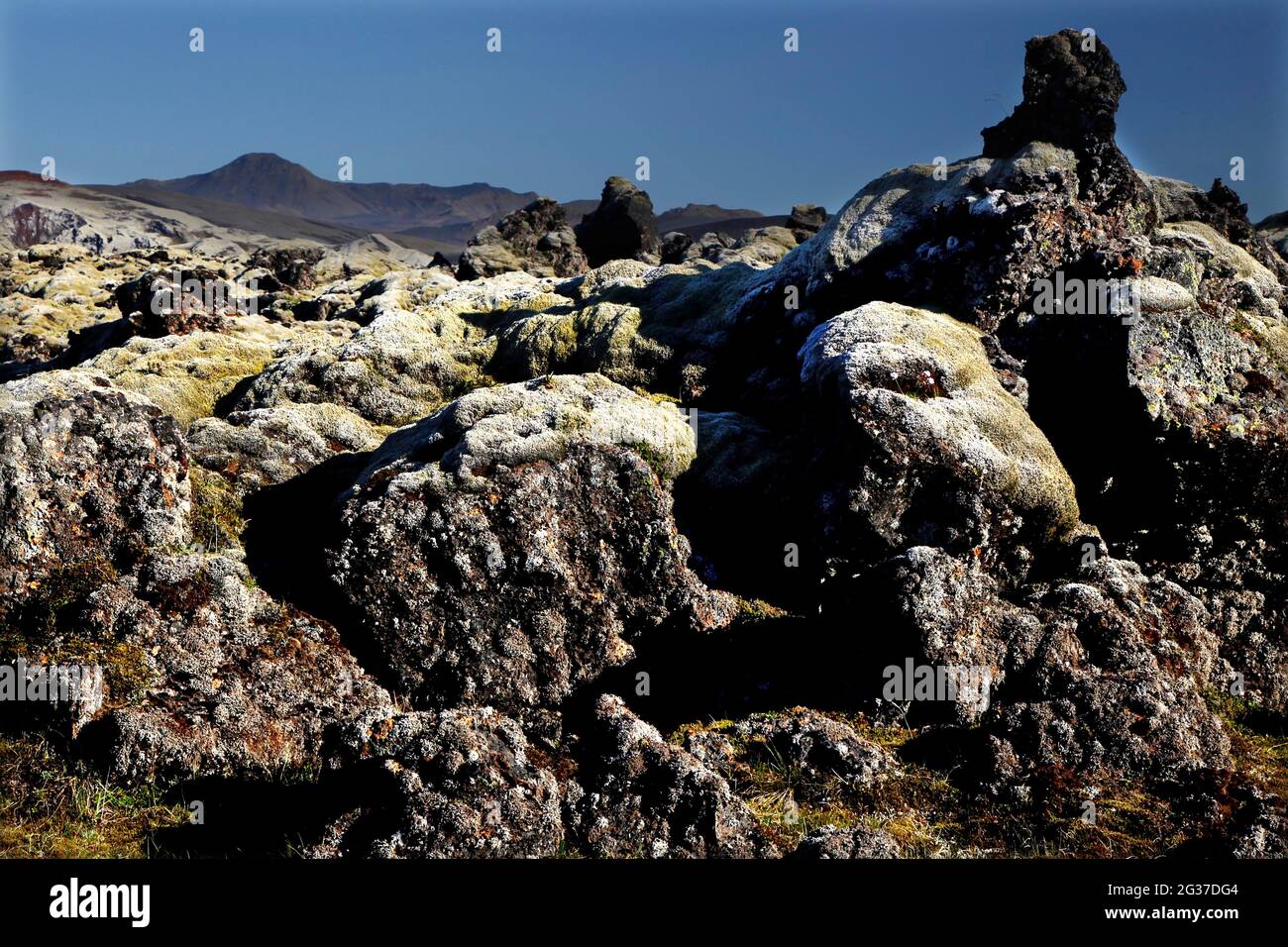 Paesaggio lavico, fessura Laki, altopiani, Islanda Foto Stock