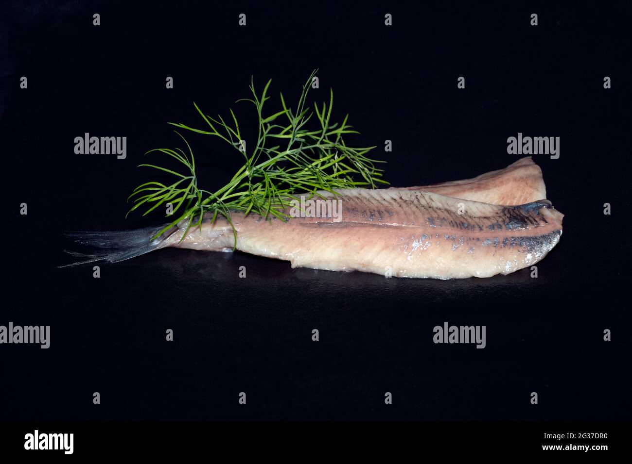 Filetto di aringa atlantica fermentato fresco (Clupea harengus), Scheveningen, Paesi Bassi Foto Stock