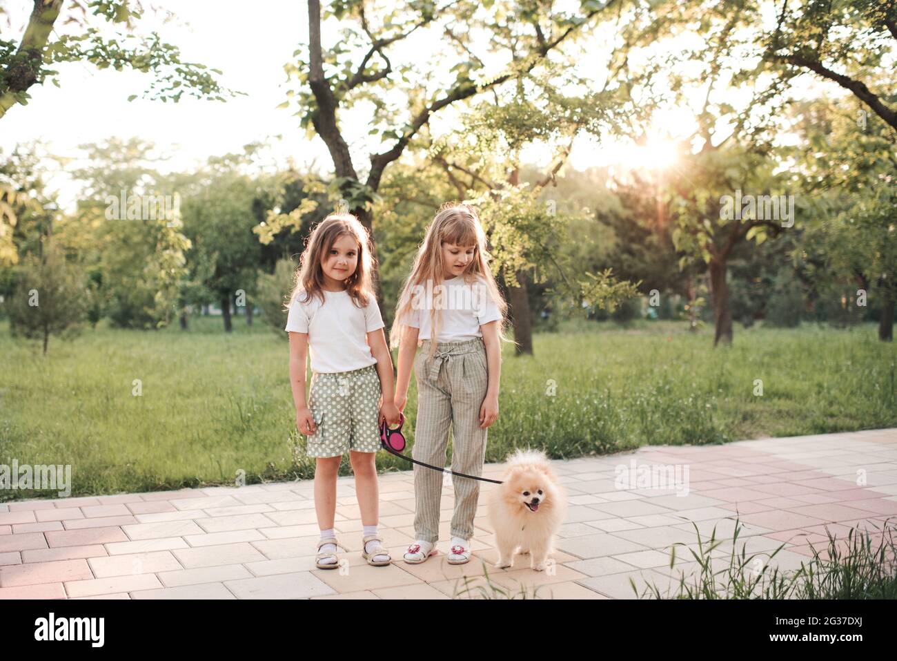Due ragazze carine gemelle camminano nel parco con il cane domestico spitz in piedi sulla strada sopra lo sfondo della natura. Infanzia. Amicizia. Foto Stock