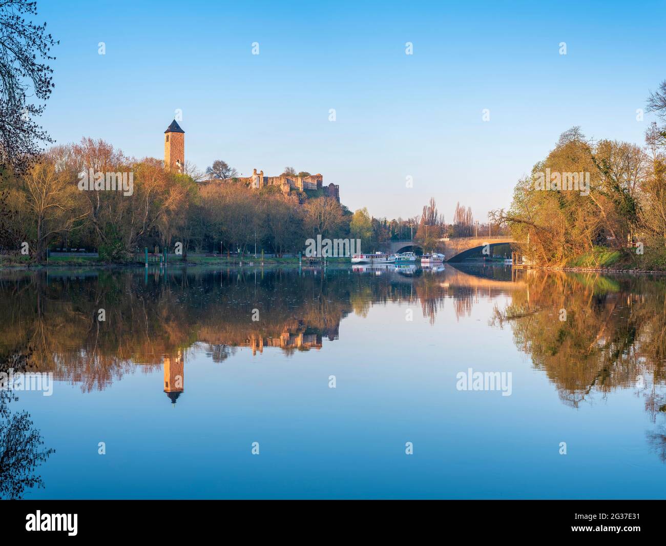 Rovine del castello di Giebichenstein sopra il fiume Saale, Morgenrot, Halle an der Saale, Sassonia-Anhalt, Germania Foto Stock