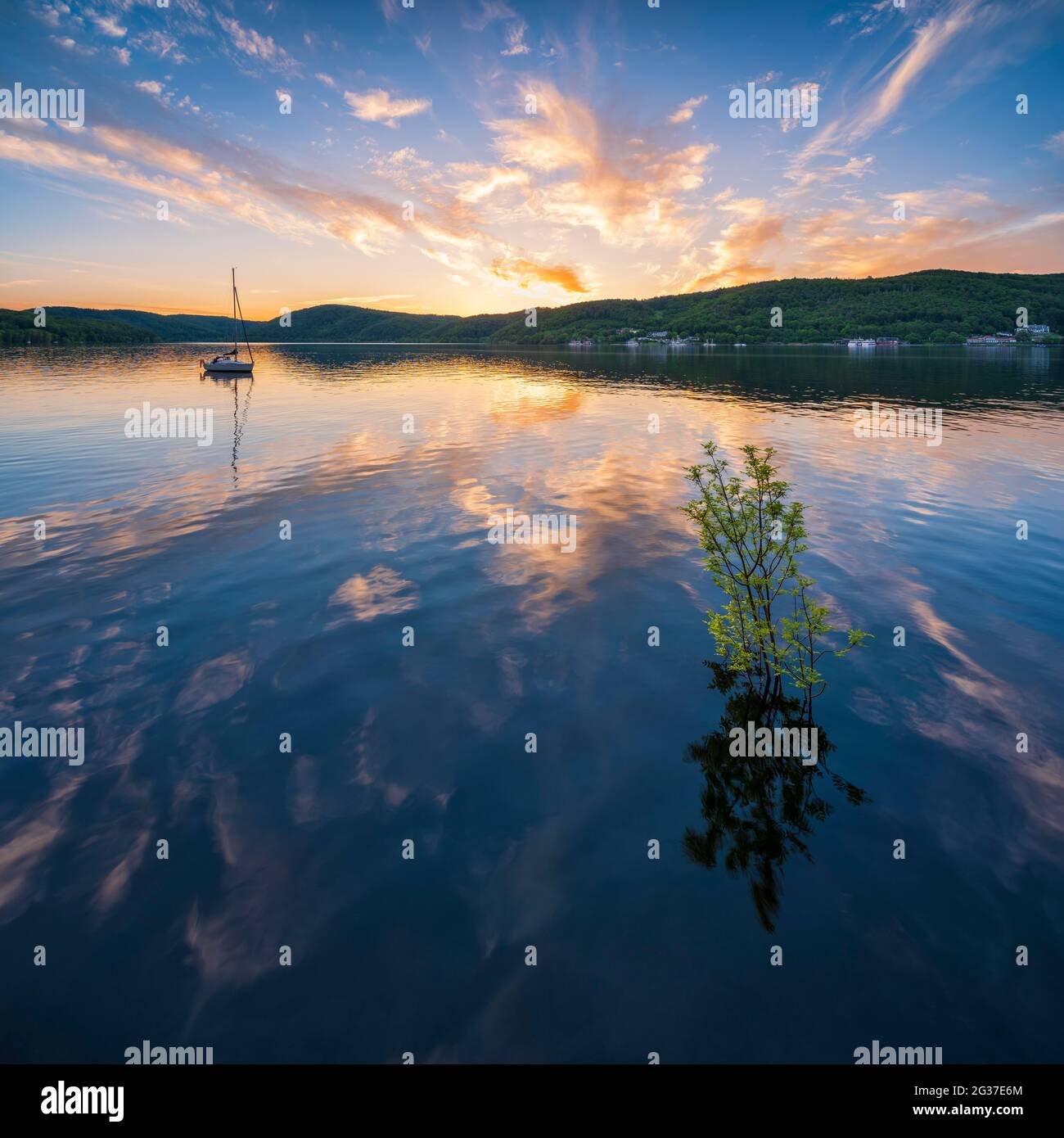 Tramonto a Edersee, piccolo albero in acqua e barca a vela, Ederstausee, Edertalsperre, dietro Schloss Waldeck, Hesse, Germania Foto Stock