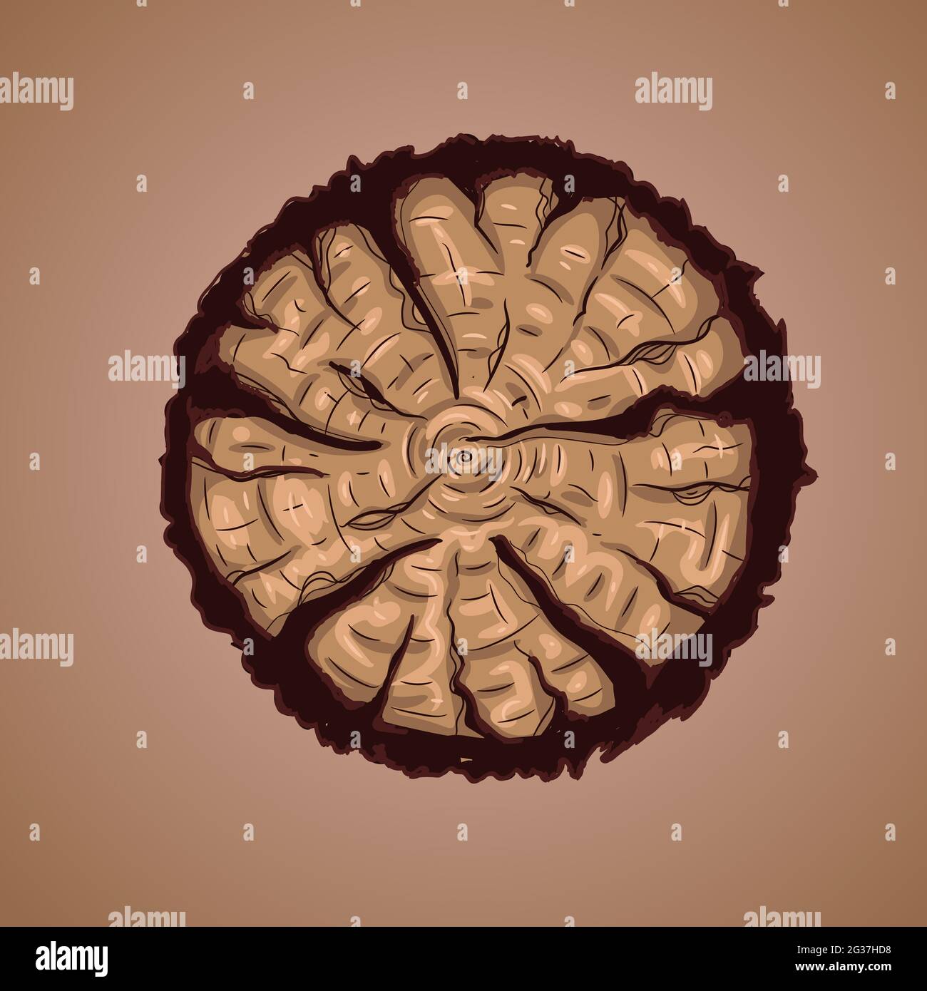 Pezzo di legno isolato marrone su sfondo sfumato. Semplice e tagliato in mezzo log dalla foresta. Materiale di albero di foresta con crepe e toni di terra. Illustrazione Vettoriale
