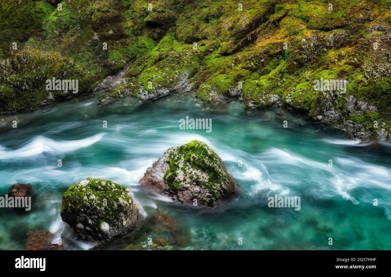 Primo piano di acqua bianca sul fiume Elk. Fiume Elk Wild e Scenic River, Curry County, Oregon Foto Stock
