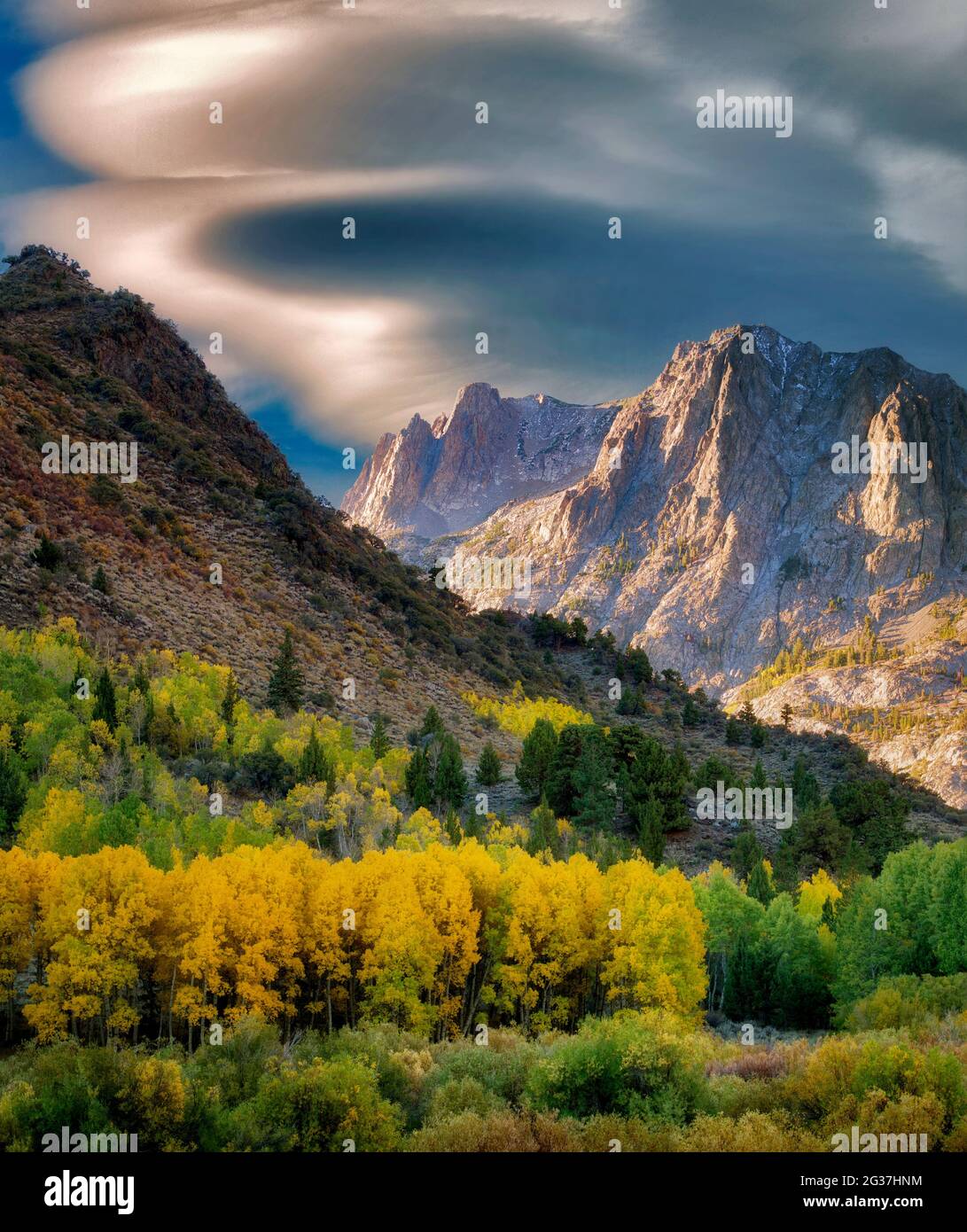 Aspen alberi in autunno a colori e le montagne intorno a giugno laghi Loop.Eastern Sierra Nevada, in California Foto Stock