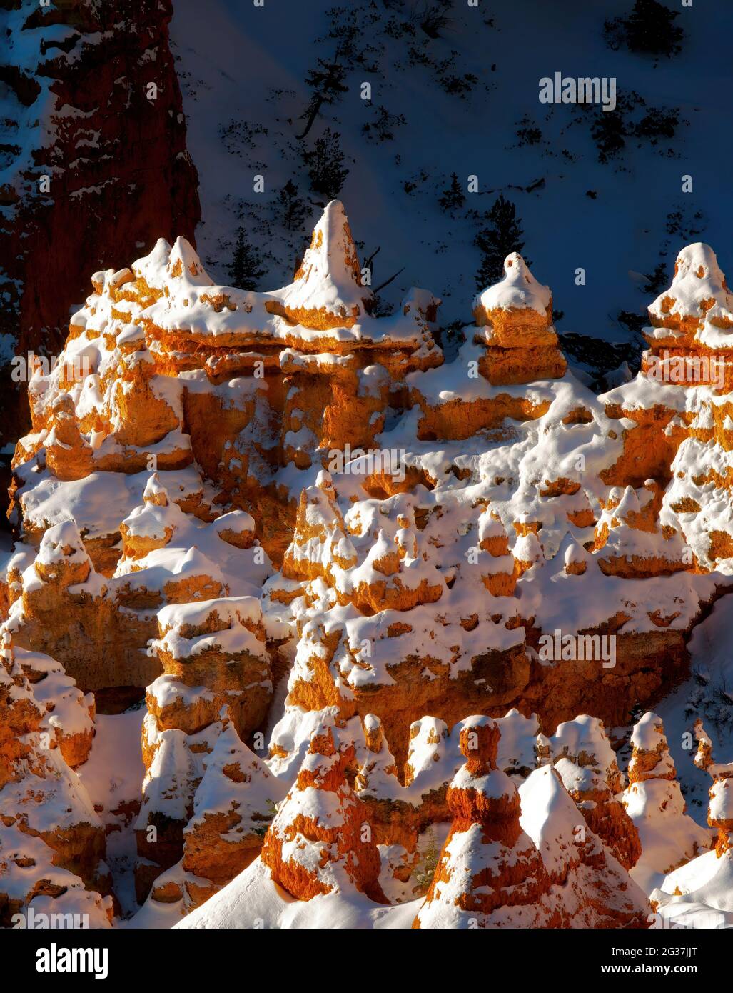 Neve su hoodoos. Parco Nazionale di Bryce Canyon, Utah. Foto Stock