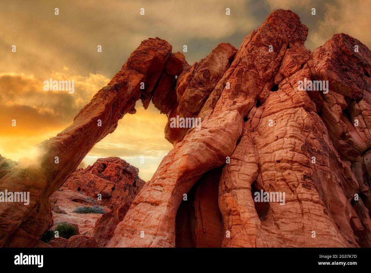 Elephant Rock e tramonto. Valley of Fire state Park, Nevada Foto Stock