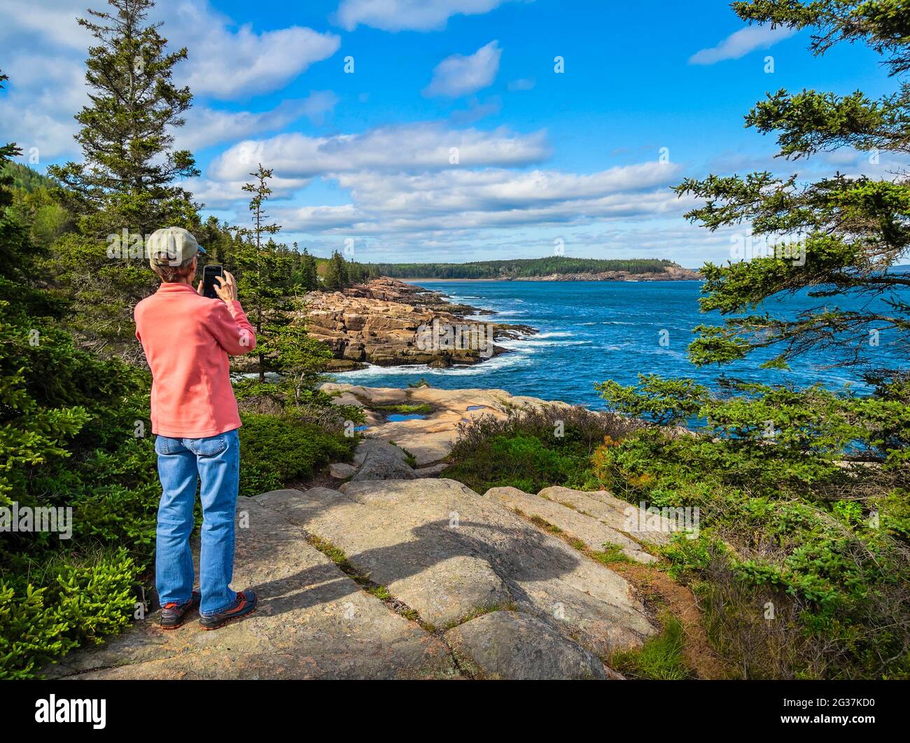 The Ocean Path, Acadia National Park, Maine, Stati Uniti Foto Stock