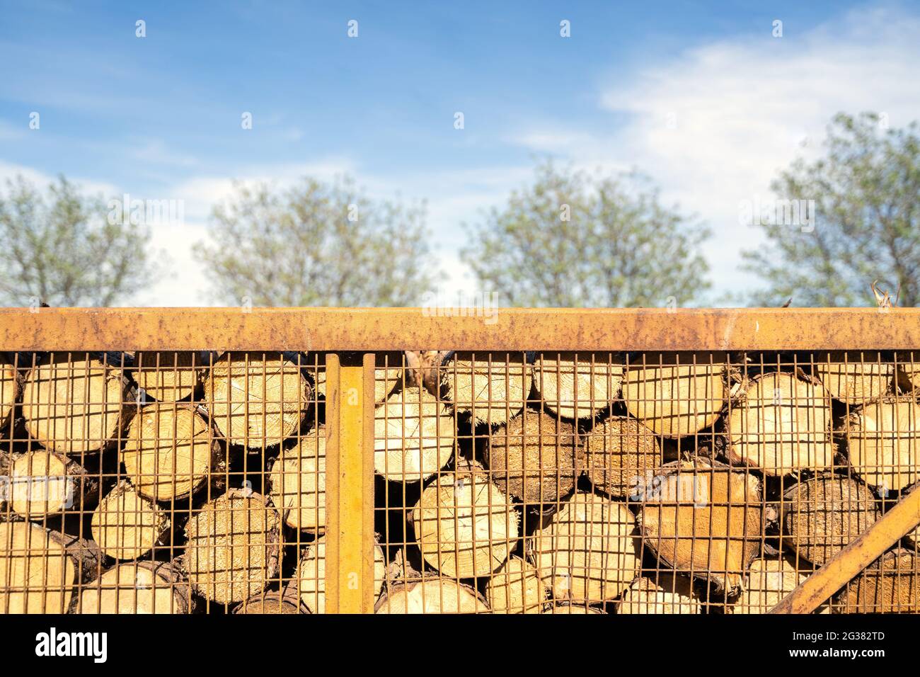 Tronchi di legno non trattati giacciono l'uno sopra l'altro in un contenitore di metallo all'esterno Foto Stock